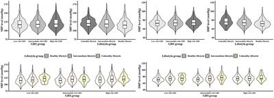 Lifestyle Score and Genetic Factors With Hypertension and Blood Pressure Among Adults in Rural China